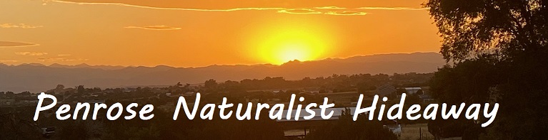 Penrose Naturalist Hideaway